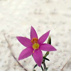 Parent and Student Testimonials