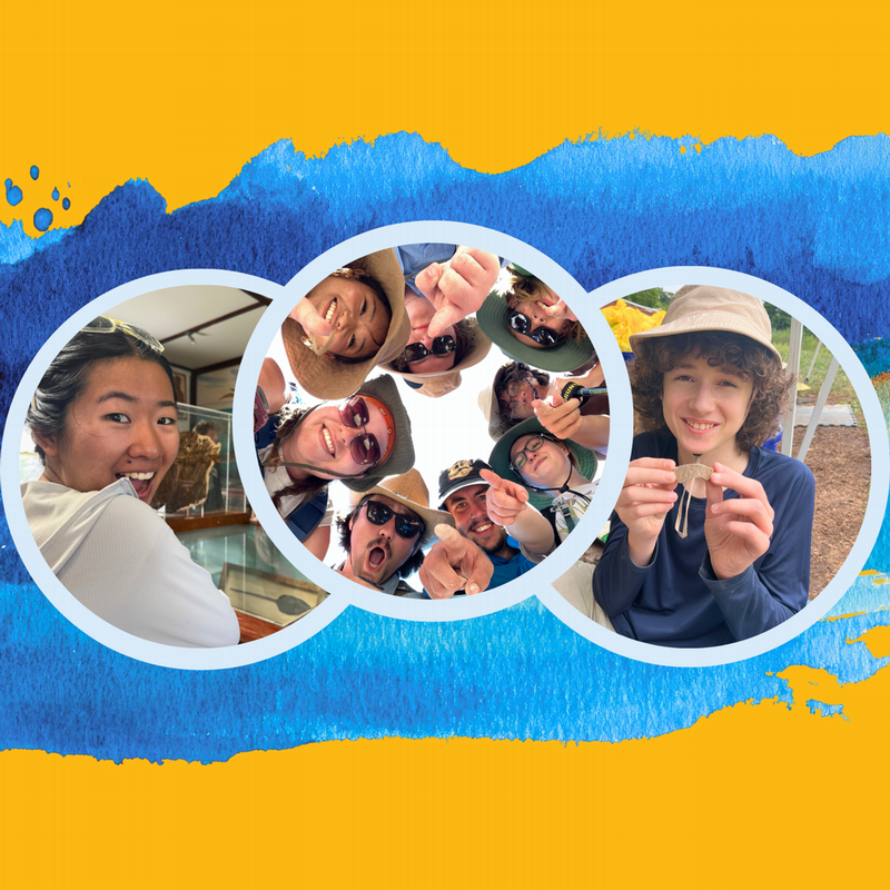 Students doing a mix of indoor and outdoor paleontology and geology.