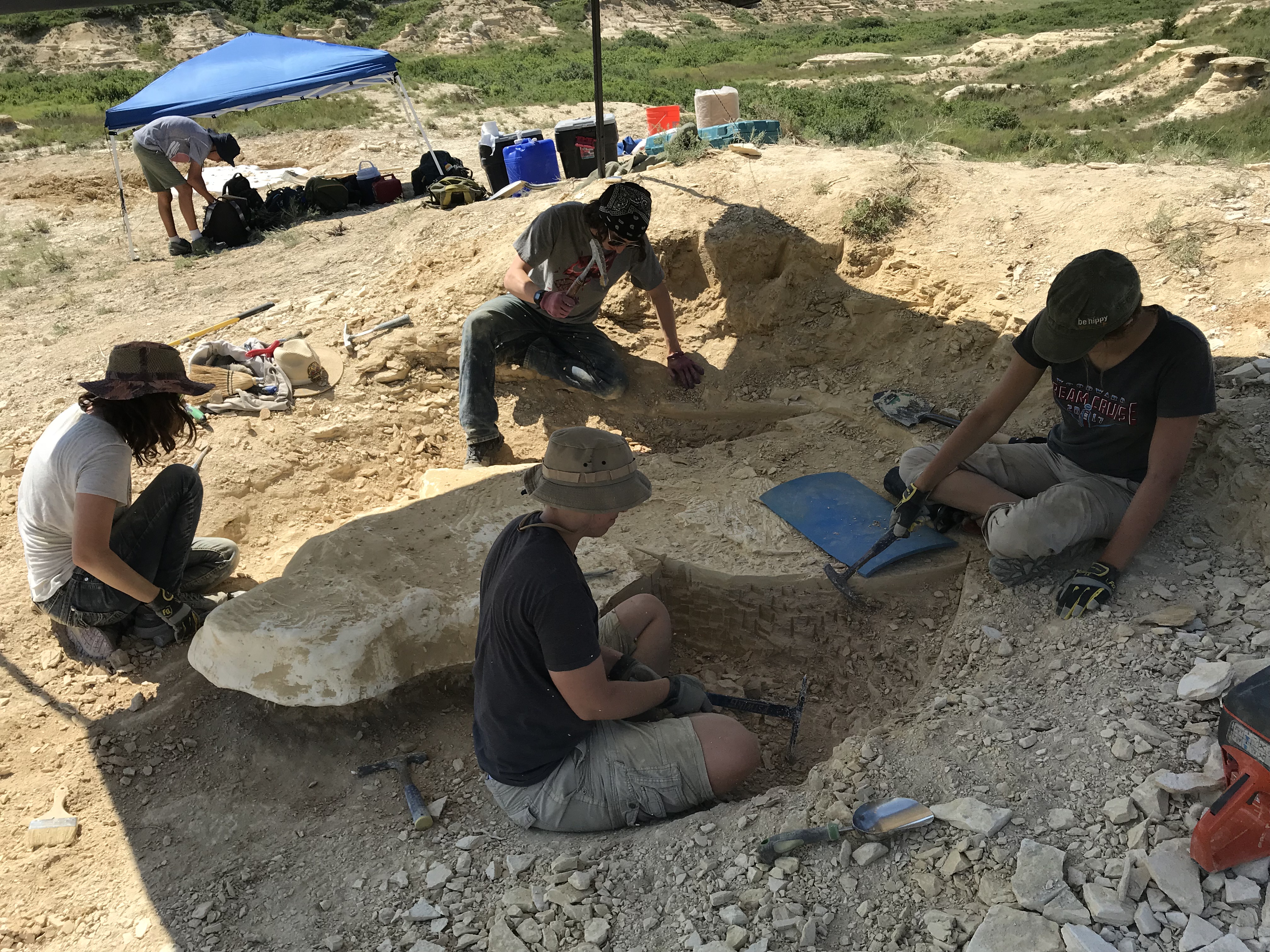 Students doing outdoor paleontology and geology.