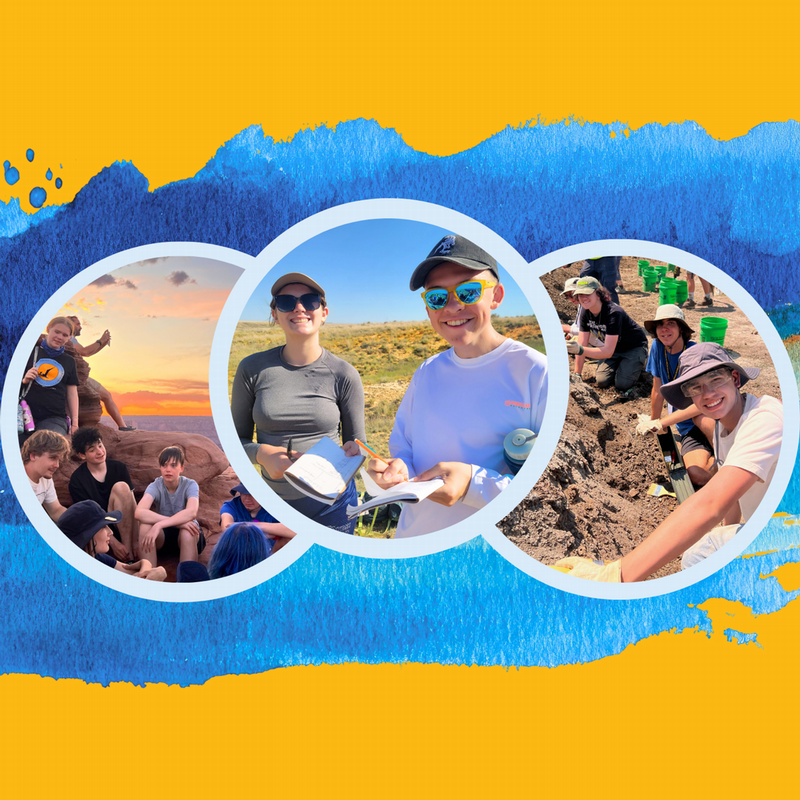 Students doing outdoor paleontology and geology.