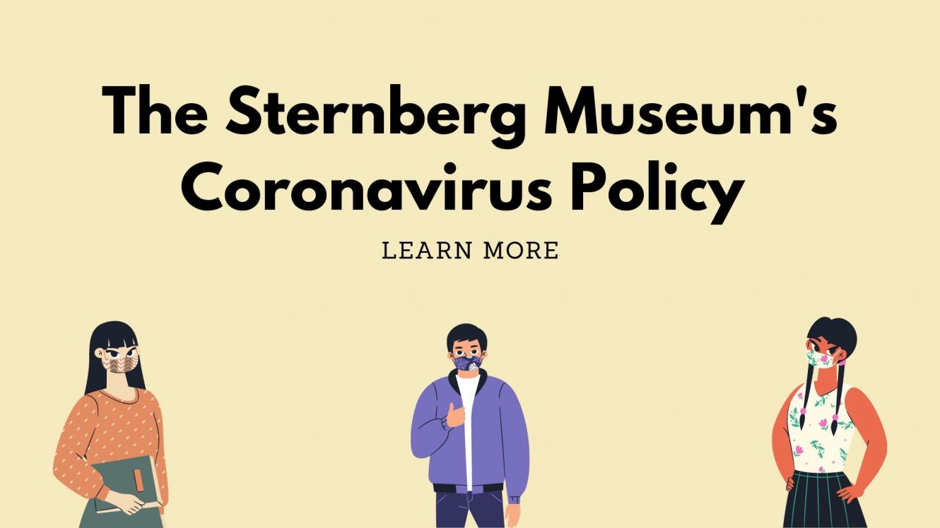 The-Sternberg-Museums-Coronavirus-Policy-e1593733549449.jpg